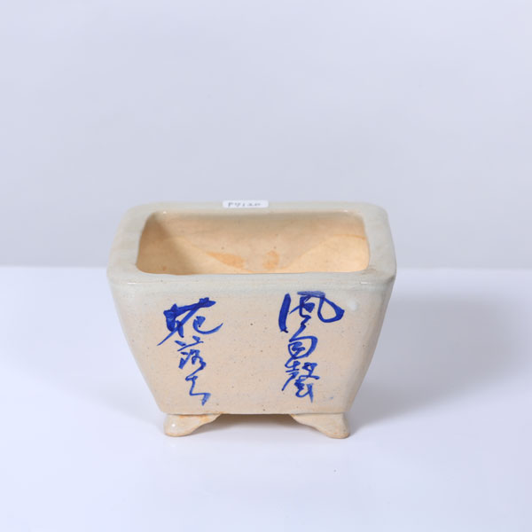 盆栽小鉢：桂雲　足付正方鉢　11.6cm 【現品】