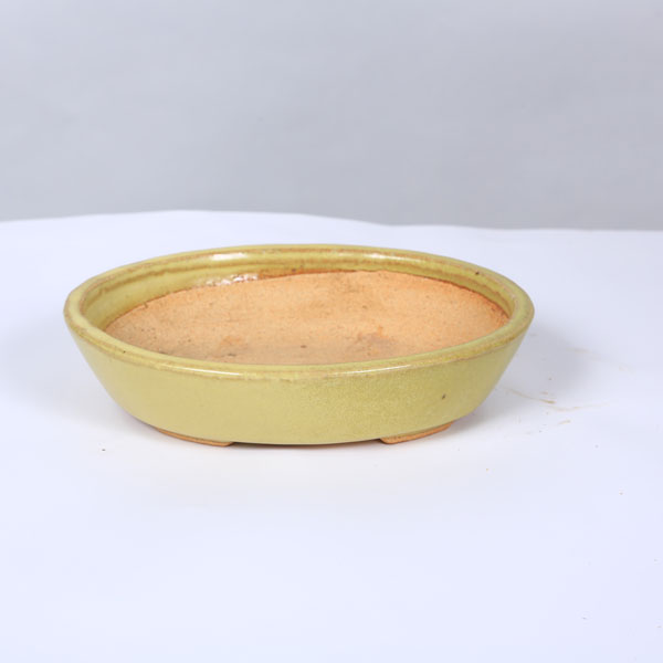 鉢：服部　楕円鉢　19.7ｃｍ【現品】 *　資材
