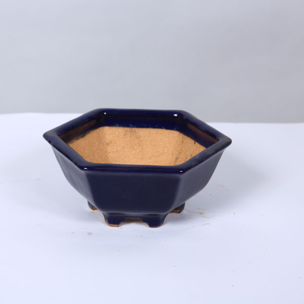 鉢：服部　六角鉢　15.3ｃｍ【現品】*　資材