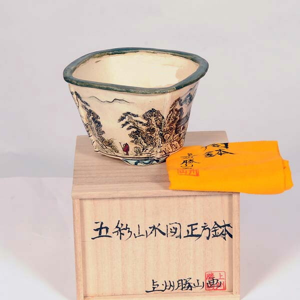 盆栽小鉢：寿（上州勝山画）五彩景観図 四角四面鉢 【現品】