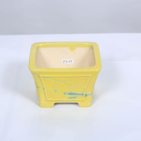現代小鉢：柴勝　窓付正方ソリ鉢　11.5ｃｍ【現品】｜遊恵盆栽　店