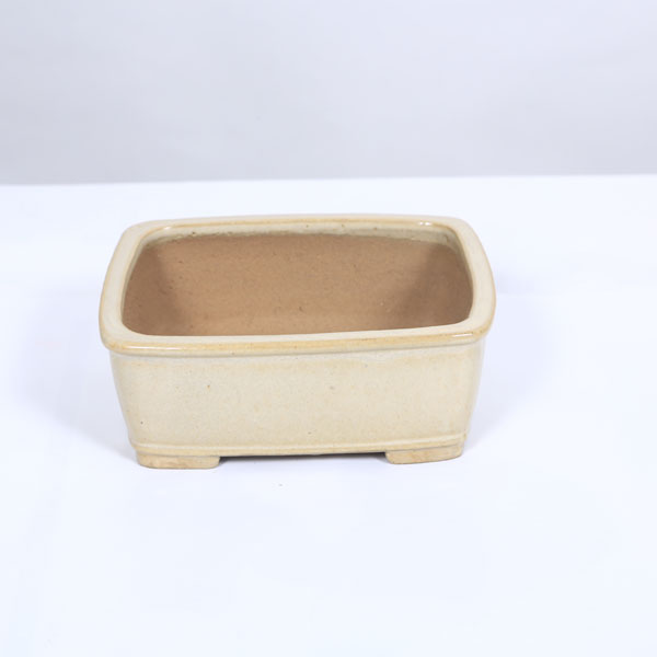 現代小鉢：柴勝　長方鉢　16.0ｃｍ【現品】