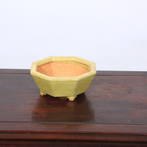 鉢：服部　八角鉢　11.7ｃｍ【現品】*　資材