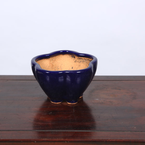 鉢：服部　輪花鉢　10.7ｃｍ【現品】*　資材