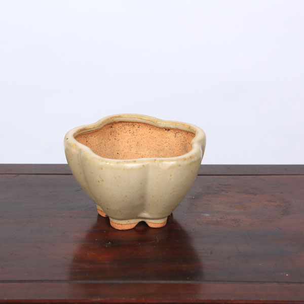 鉢：服部　輪花鉢　10.5ｃｍ【現品】*　資材