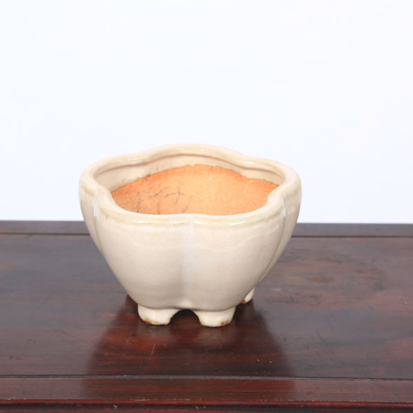 鉢：服部　輪花鉢　13.3ｃｍ【現品】*　資材