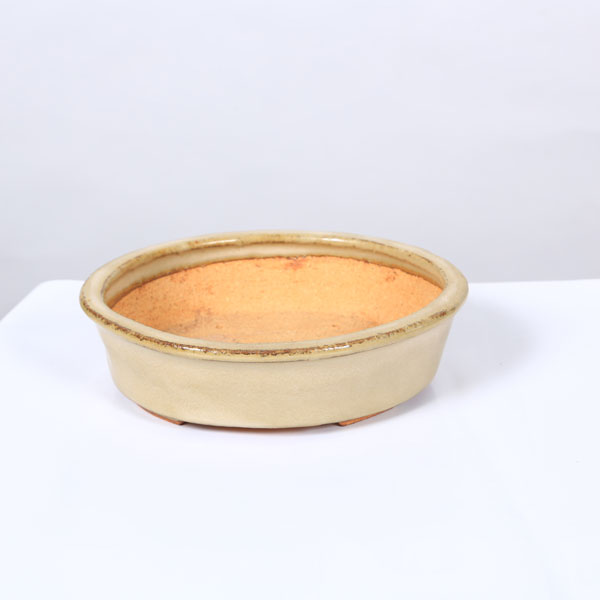 鉢：服部　縁付楕円鉢　18.9ｃｍ【現品】*　資材