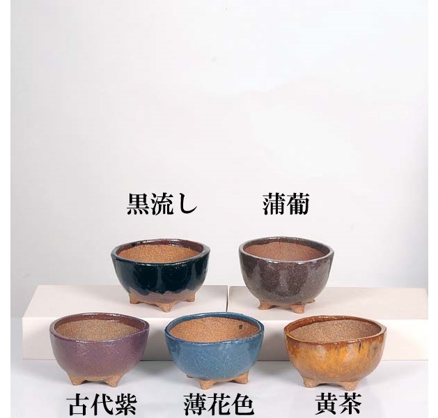 楽天市場】盆栽鉢：祥石（ゆうき）丸鉢・中*資材 : 遊恵盆栽 楽天市場店