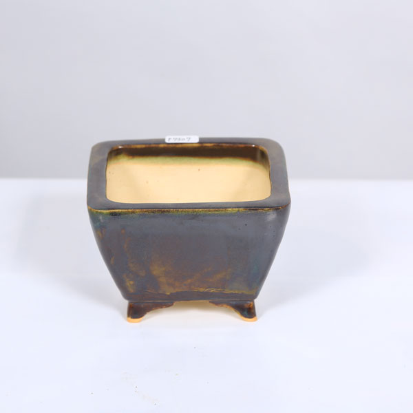 楽天市場】盆栽小鉢：初代 東福寺 正方鉢 10.6cm【現品】*資材