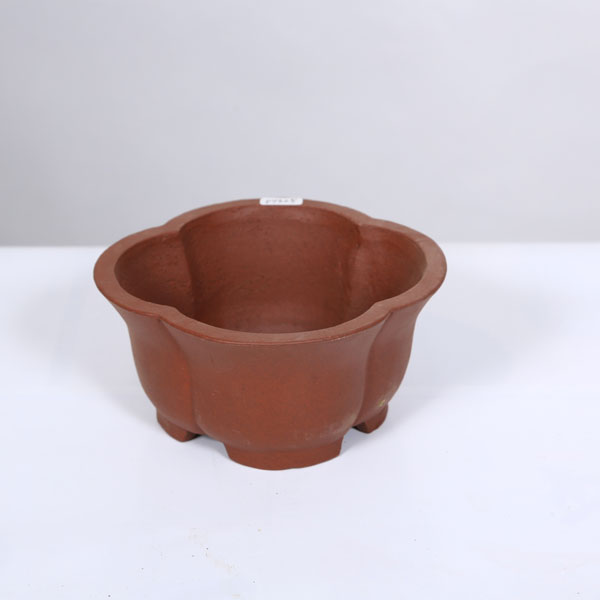 現代小鉢：柴勝　輪花鉢　15.7ｃｍ【現品】