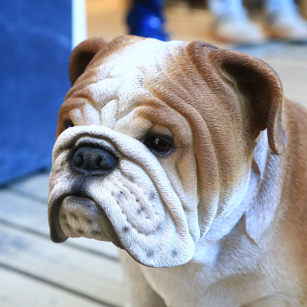 雑貨 飾り 図形 ブルドック 自然大きさ Marchesoni Com Br