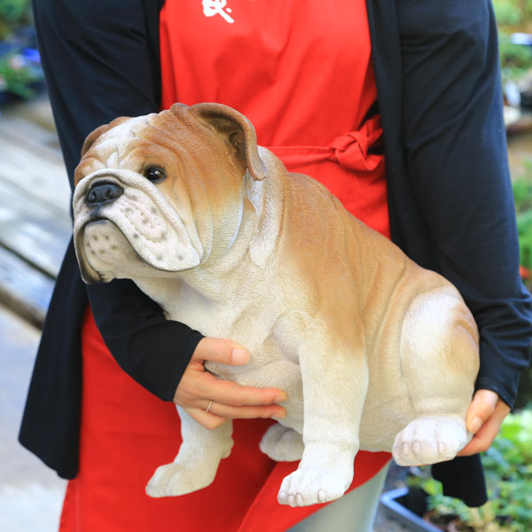 雑貨 飾り 図形 ブルドック 自然大きさ Marchesoni Com Br