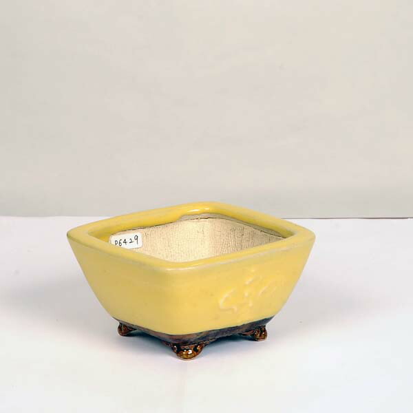 楽天市場】現代小鉢：平安佑泉 長方鉢 2鉢セット 9.5cm【現】*資材