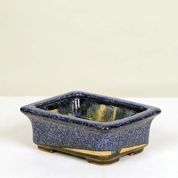 楽天市場】現代小鉢：井上良斎 長方鉢 15.0cm【現】*資材 : 遊恵盆栽