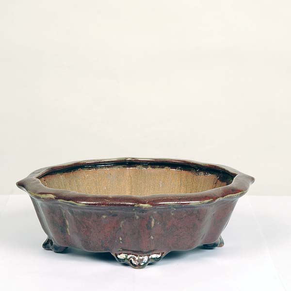 現代小鉢：平安虹泉　剣モッコ鉢　25.5ｃｍ【現】*資材