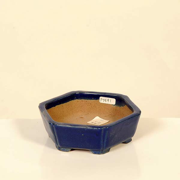 現代小鉢：柴勝　六角鉢【現品】*shibakatu　12.2cm