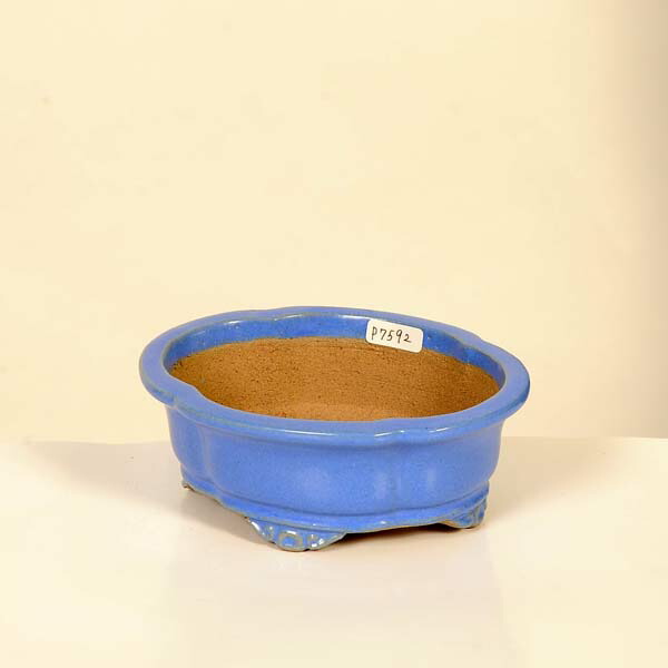 現代小鉢：柴勝　楕円モッコ鉢【現品】*shibakatu　12.2cm
