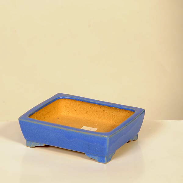 現代小鉢：柴勝　長方鉢【現品】*shibakatu　12.6cm