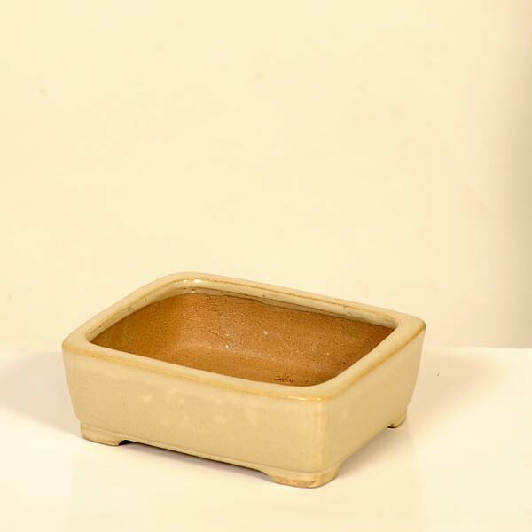 現代小鉢：柴勝　長方鉢【現品】*shibakatu　12.6cm