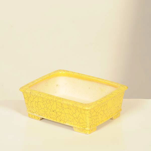 現代小鉢：柴勝　長方鉢【現品】*shibakatu　13.0cm
