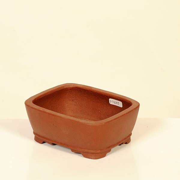 現代小鉢：柴勝　長方鉢【現品】*shibakatu　12.7cm