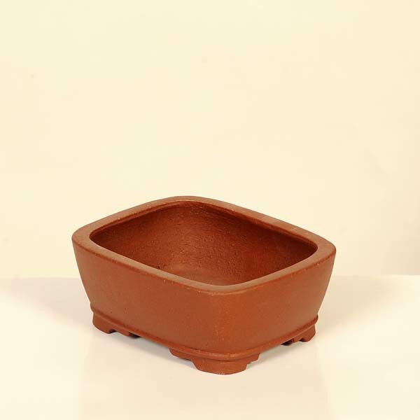 現代小鉢：柴勝　長方鉢【現品】*shibakatu　12.8cm