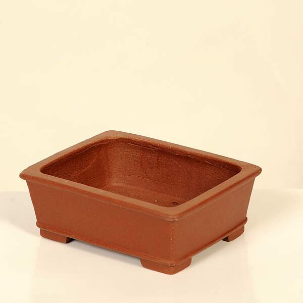 現代小鉢：柴勝　長方鉢【現品】*shibakatu　12.6cm