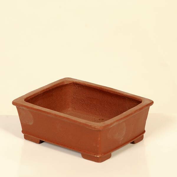 現代小鉢：柴勝　長方鉢【現品】*shibakatu　12.6cm