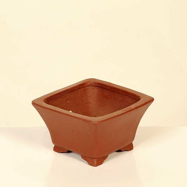 現代小鉢：柴勝　正方ソリ鉢【現品】*shibakatu　9.3cm