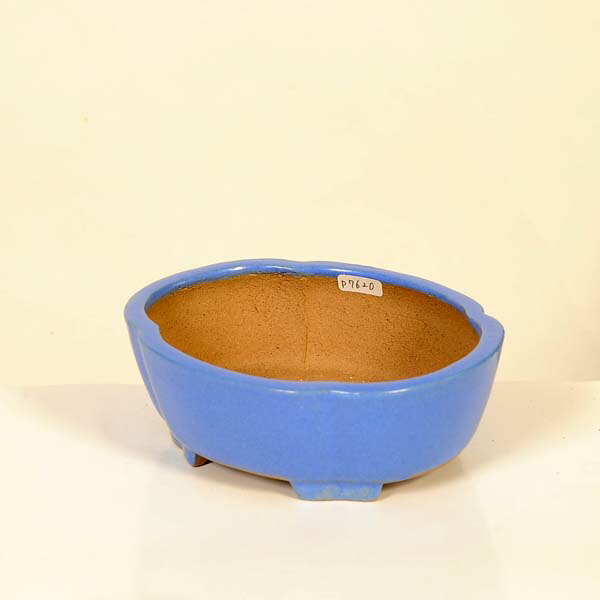 現代小鉢：柴勝　楕円モッコ鉢【現品】*shibakatu　15.9cm