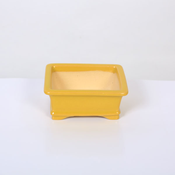 現代小鉢：昭山　外縁下紐長方鉢【現品】*shouzan　10.0cm