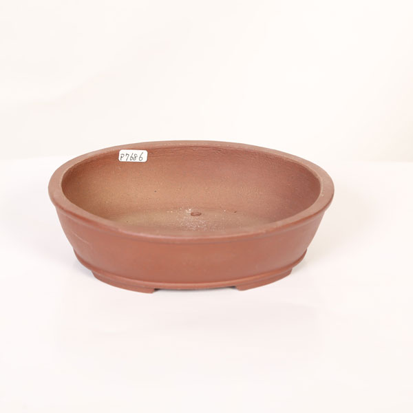 現代小鉢：柴勝　楕円鉢【現品】*shibakatu　15.5cm｜遊恵盆栽　店