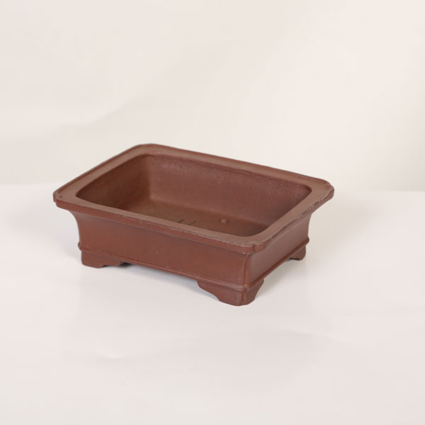 現代小鉢：柴勝　長方ソリ鉢【現品】*shibakatu　16.0cm｜遊恵盆栽　店