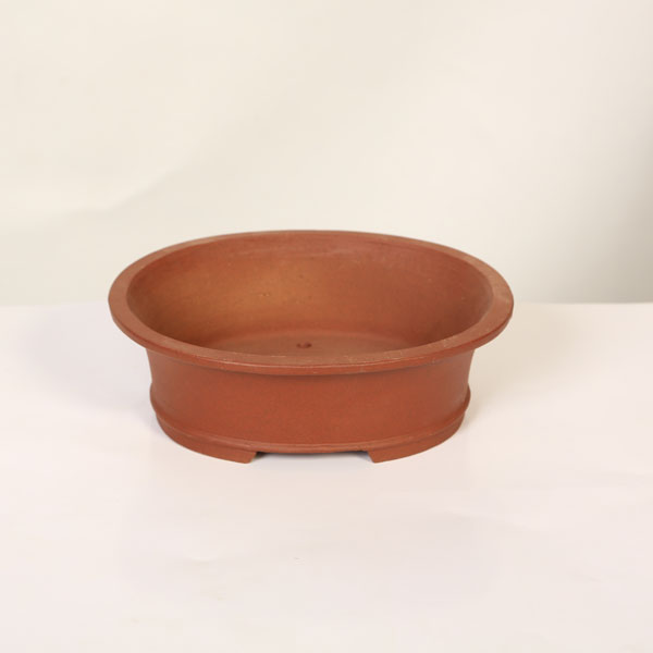 今日このごろ小鉢：柴勝 楕円面ソリ鉢【現品】*shibakatu 18.6珊 植木鉢・プランター-植木鉢-花・ガーデン・DIY