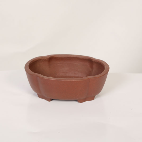 今日このごろ小鉢：柴勝 楕円面モッコ鉢【現品】*shibakatu 15.8糎