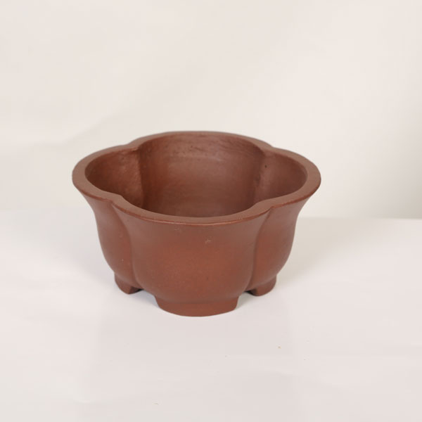 現代小鉢：柴勝　輪花鉢【現品】*shibakatu　15.8cm｜遊恵盆栽　店 12,900円