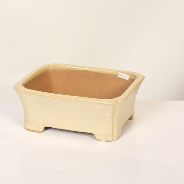 現代小鉢：柴勝　長方ソリ鉢【現品】*shibakatu　18.2cm｜遊恵盆栽　店