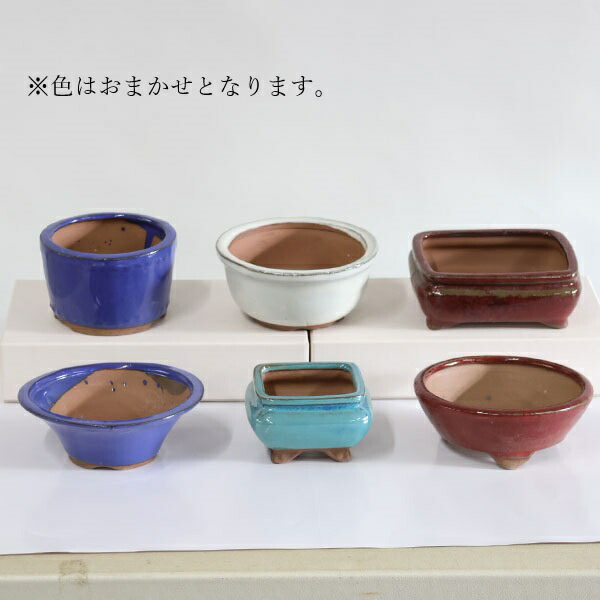 盆栽鉢　中国鉢　2鉢セット 鉢：中国小鉢10点セット 2.5号-A*資材 | 盆栽鉢・水盤,お買い得