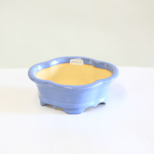現代小鉢：昭山　足付モッコ鉢【現品】*shouzan　13.1cm