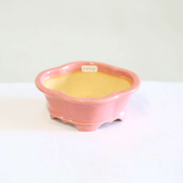 現代小鉢：昭山　足付モッコ鉢【現品】*shouzan　13.1cm