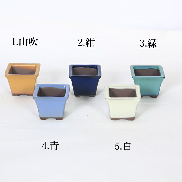 樹晃　正方　盆栽鉢 0000000068022_aaGP33L.jpg