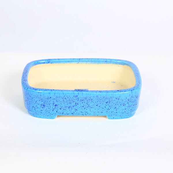 現代小鉢：柴勝　長方撫角切立鉢【現品】*shibakatu　8.3cm｜遊恵盆栽　店