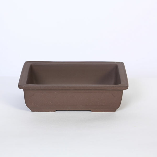 楽天市場】大特価：国産12角深鉢 6号 ラン鉢 *資材 : 遊恵盆栽 楽天市場店