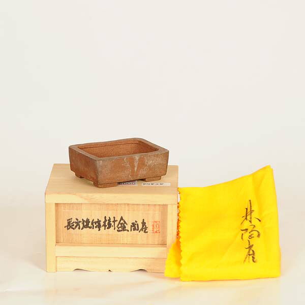 現代小鉢：陶雀　長方鉢【現品】*toujyaku　5.4cm｜遊恵盆栽　店