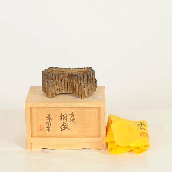 現代小鉢:陶雀 変形鉢古池【現品】*toujyaku 7.6cm|遊恵盆栽 店