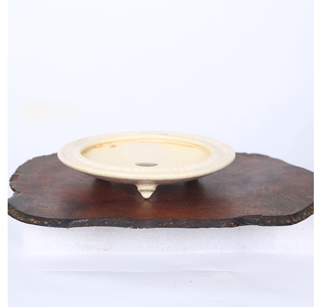 現代小鉢：羽二生隆宏　足付丸鉢【現品】*14.1cm　hanyu