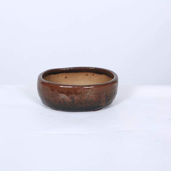 今日このごろ小鉢：天龍石仙 楕円面鉢【現品】*11.2糎 sekisen