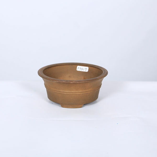 今日このごろ小鉢：天龍石仙 丸鉢【現品】*11.0糎 sekisen