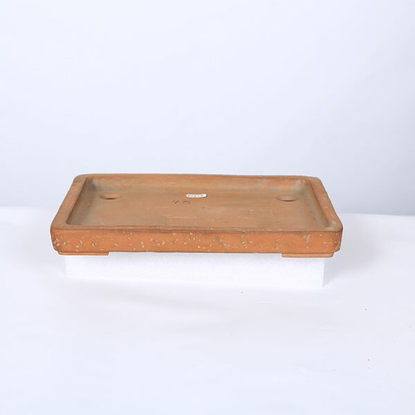 今日このごろ小鉢：花崎創作力 長方鉢【現品】*25.5珊 shungou