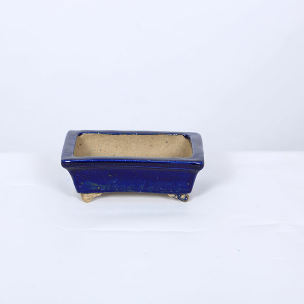 今日このごろ小鉢：花崎創作力 足付長方鉢【現品】*10.4糎 shungou